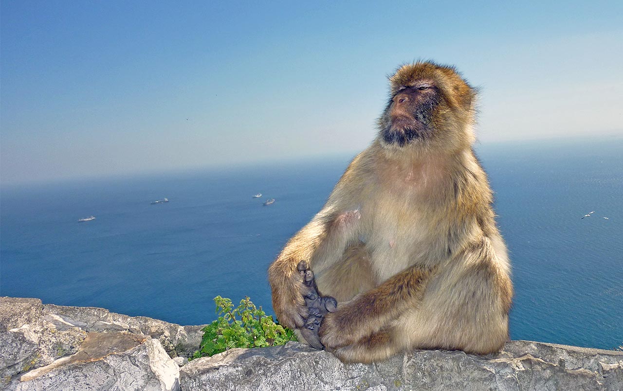 OSAM ISTINA O MENI Ponedjeljak je idealan dan za boostanje samopouzdanja (i ega)