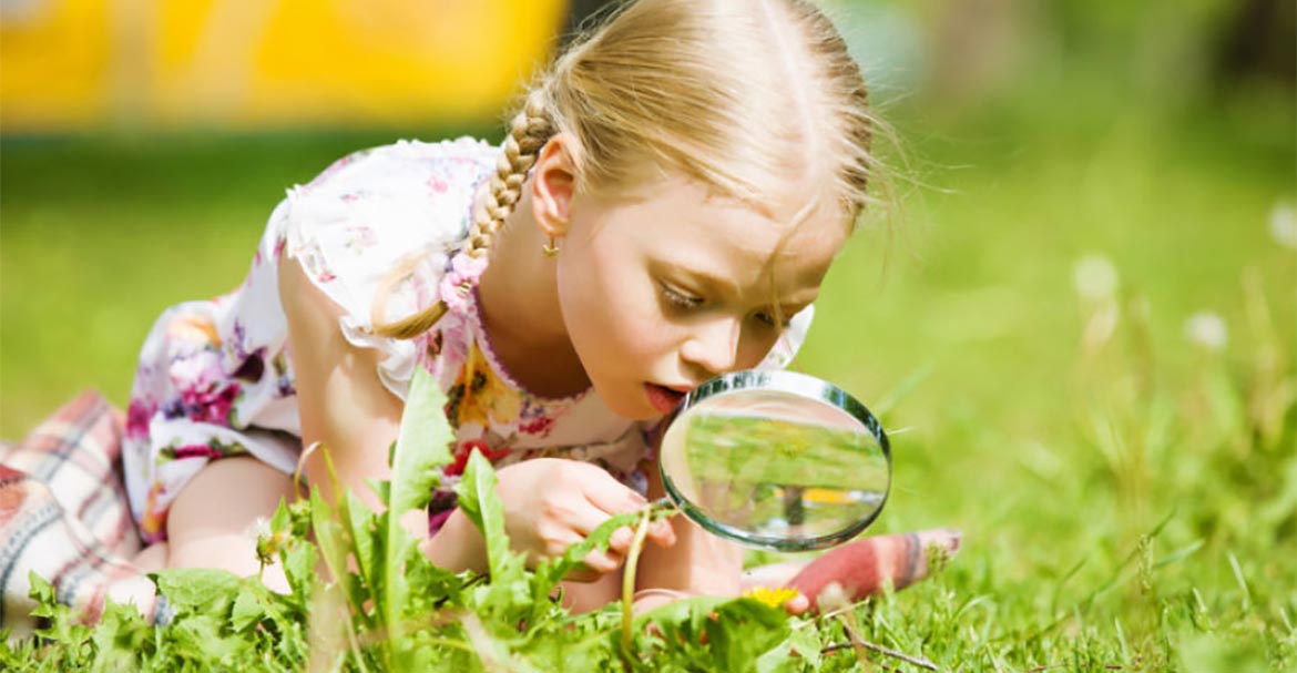 Projekt otkrivanja zahvalnosti u životu – znatiželja