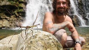 RAVNO IZ BAJKE Finca Bellavista je raj na Zemlji