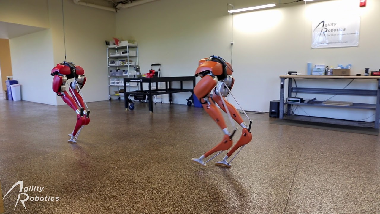 KAKVE DOBRE NOGE Bezglavi roboti odlučili prošetati uredom