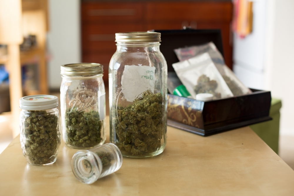 STVARNO ČUDESNA BILJKA Marihuana može pomoći u liječenju ovisnosti