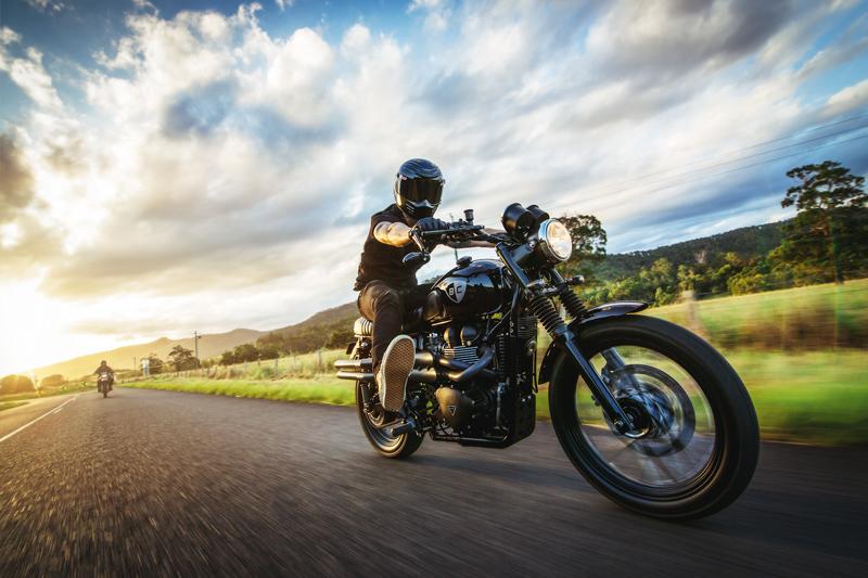 DEATH COLLECTIVE PAMELA Svestrana djevojka koja ne želi da je mazite i pazite