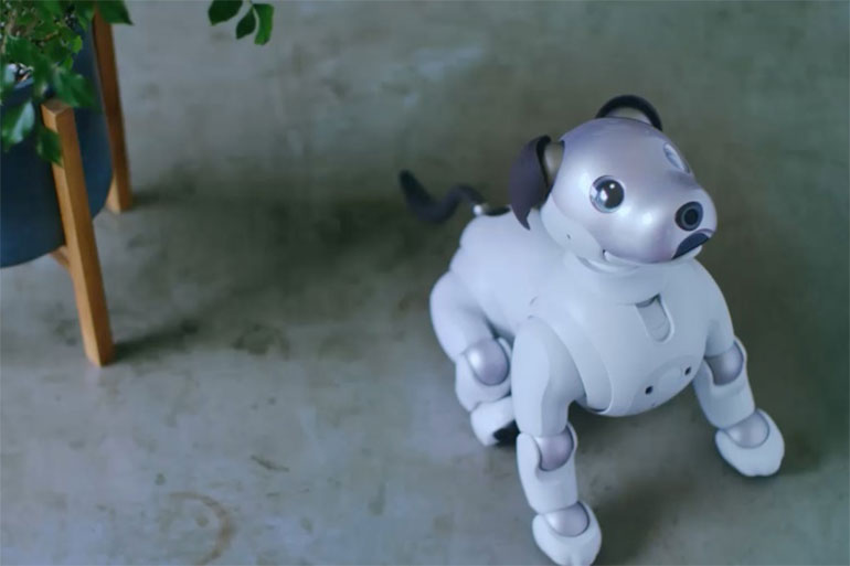 Jeste li spremni da vam AIBO zamijeni onu slatku vreću buha koja vam se uporno nastanjuje na krevetu?