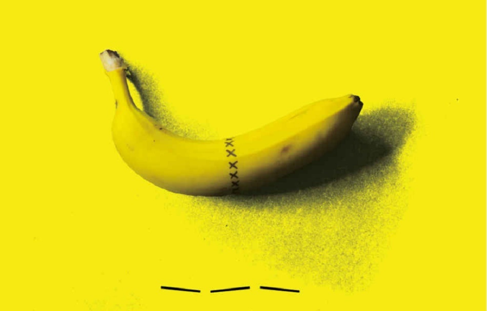 SLOMLJENA BANANA Komičar slomio penis dok se seksao i, srećom, napisao knjigu o tome