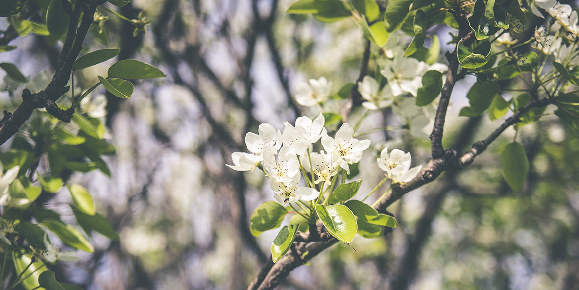 Proljećeeee jeeee, a na meni parfem! Koji?
